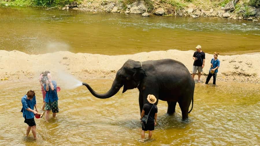 Chiang Mai Tour: Bua Tong Sticky Waterfall & Elephant Care - A quiet ride works better than a crowded bus