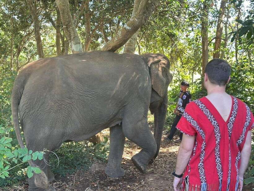 Chiang Mai Untouched Elephant: Nature Walk & Waterfall Trek - Preparing food and learning the caretaker’s routine