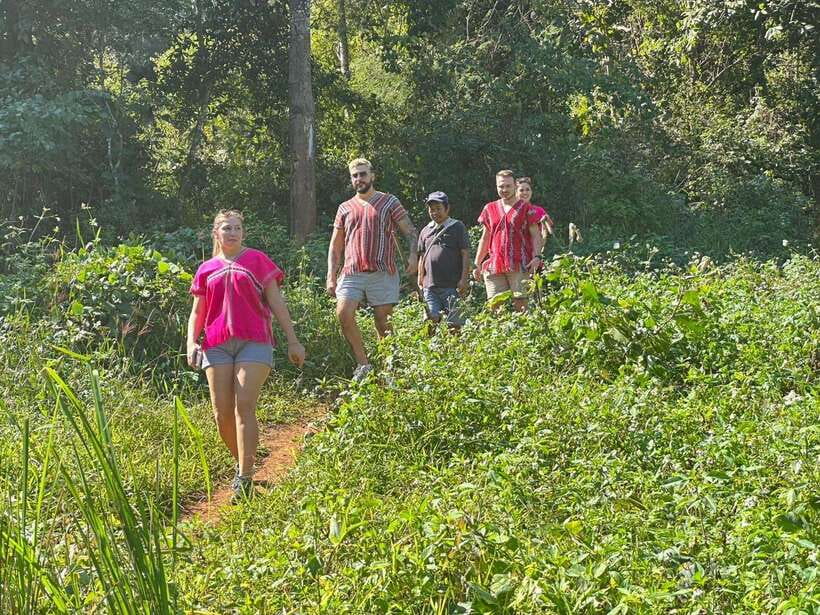 Chiang Mai Untouched Elephant: Nature Walk & Waterfall Trek - Walking beside elephants through the jungle