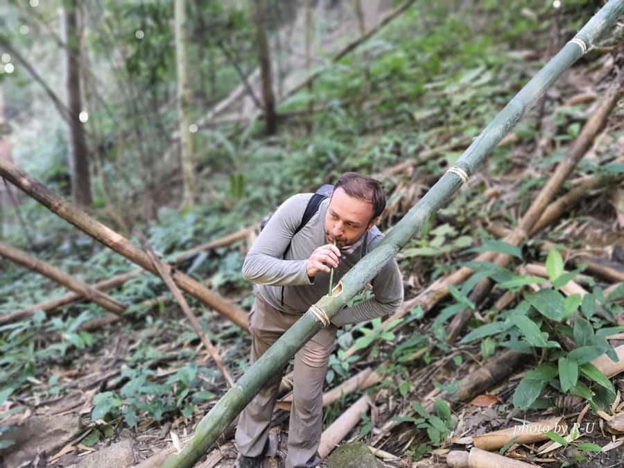 Chiang Rai: 2-Day Jungle Trek only walk with Waterfall - What the $122 price really covers