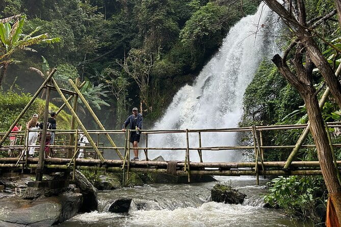 ChiangMai 1DayTour:Elephant Sanctuary,king&queen pagoda,waterfall - Local guides make a real difference