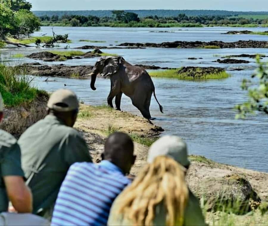 Chobe Day Trip - From Vic Falls - With Lunch (Buffet) - Final booking advice