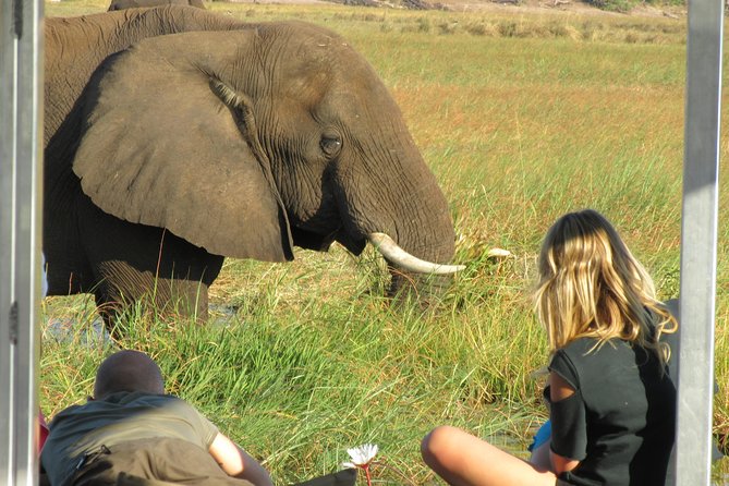 Chobe Day Trip from Victoria Falls, Zimbabwe - What the $170 price really covers