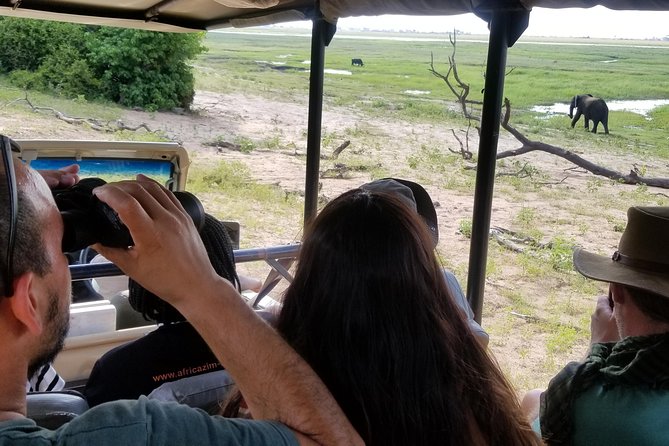 Chobe Day Trip from Victoria Falls, Zimbabwe - Who should book this Chobe day trip?