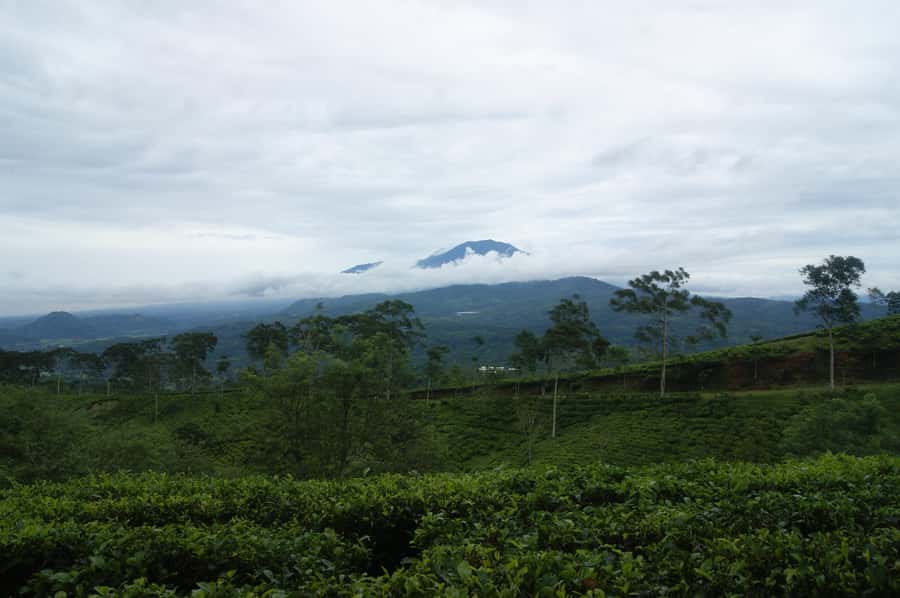 Cianjur: Full-Day Historical Tour of Gunung Padang and Falls - Why this Cianjur day trip works