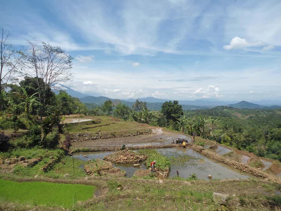 Cianjur: Full-Day Historical Tour of Gunung Padang and Falls - What to bring and who should book