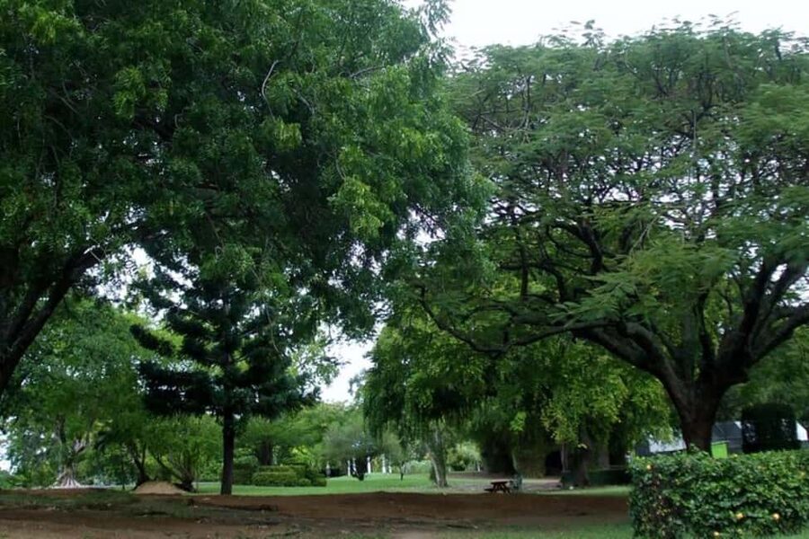 City Tour w/ Gardens, Volcano, Trafalgar Falls, Morne Bruce - Morne Bruce turns Roseau into a map