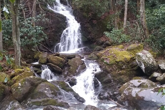 Clear Creek Falls Hike - Following a mountain stream into the Smokies