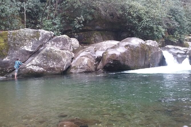 Clear Creek Falls Hike - The guide’s natural history role