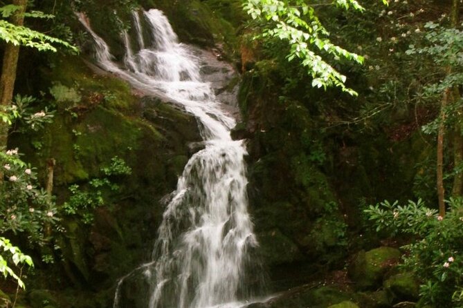 Clear Creek Falls Hike - What the four-hour forest route offers