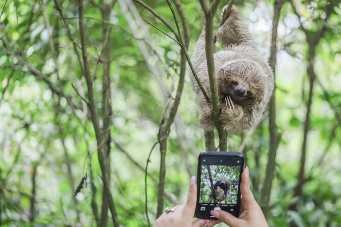 Coffee & Chocolate Tour+Sloths Park & Llanos de Cortez Waterfall - Spring Paradise Bijagua: a short walk with real wildlife