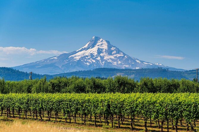 Columbia Gorge Waterfalls and Mt. Hood Tour - Full Day - What makes this full-day tour worth considering
