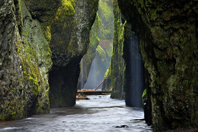 Columbia Gorge Waterfalls and Mt. Hood Tour - Full Day - Latourell Falls brings you close to the water