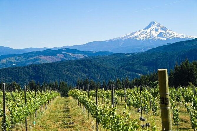 Columbia River Gorge Waterfall Tour from Portland - Multnomah Falls: the main event in 30 minutes