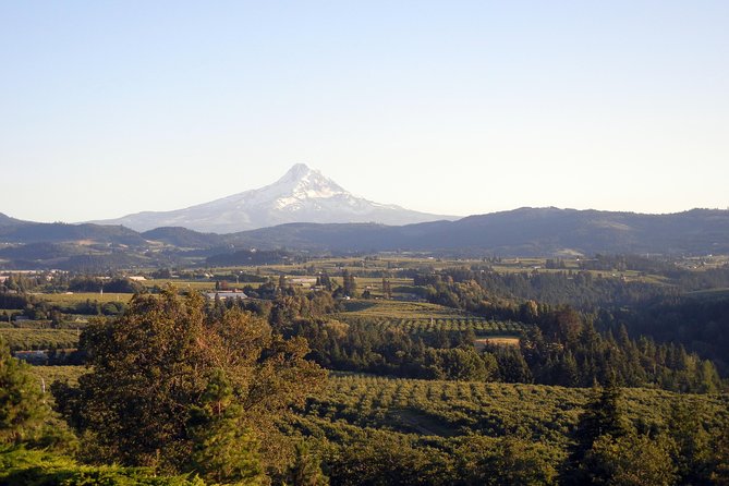 Columbia River Gorge Waterfalls & Mt Hood Tour from Portland, OR - Latourell Falls and its basalt wall