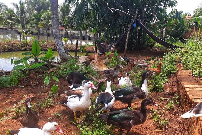 Cooking, Farming and Waterfall In Vietnam Countryside - Names, communication, and what to confirm