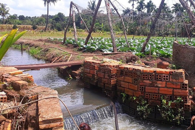 Cooking, Farming and Waterfall In Vietnam Countryside - Meeting Sammie’s family over tea or coffee