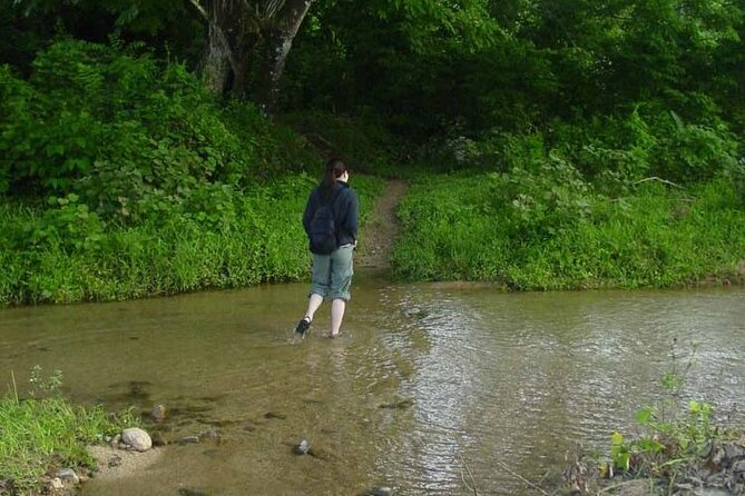 ''Coral Coast Adventure: Biausevu Waterfall & Natadola Beach !'' - Walking Through The Rainforest To Biausevu Waterfall