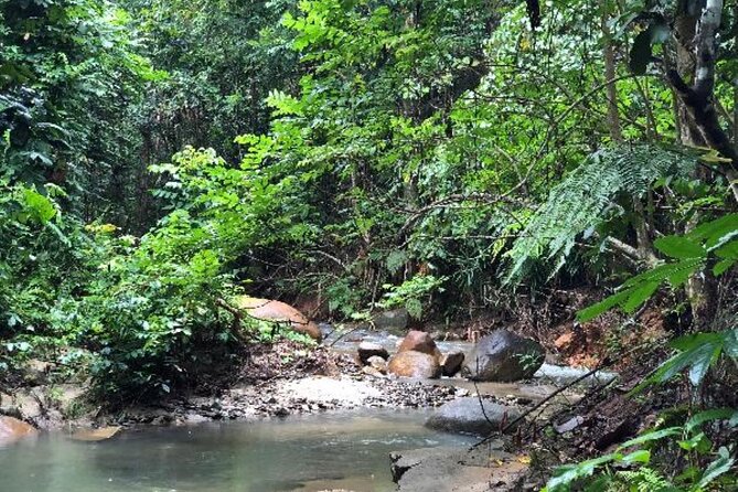 ''Coral Coast Adventure: Biausevu Waterfall & Natadola Beach !'' - Lunch At Baravi Handicrafts And Cafe