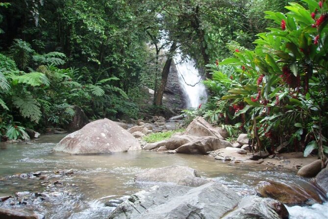 ''Coral Coast Adventure: Biausevu Waterfall & Natadola Beach !'' - An Hour At Natadola Beach