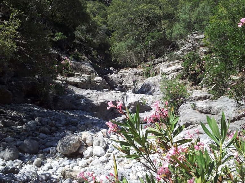 Crete: Richtis Waterfall Full-Day Tour with Olive Tasting - Should you book the Richtis Waterfall tour?