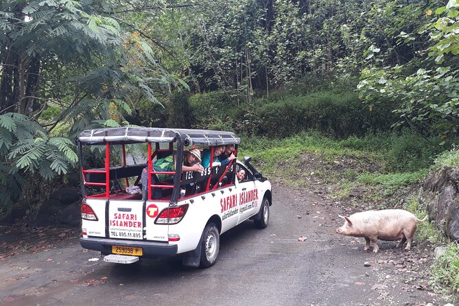 Crossing Island of Tahiti 4x4 Mountain, Waterfall, River, Basins - The comfort question: how rough is too rough?