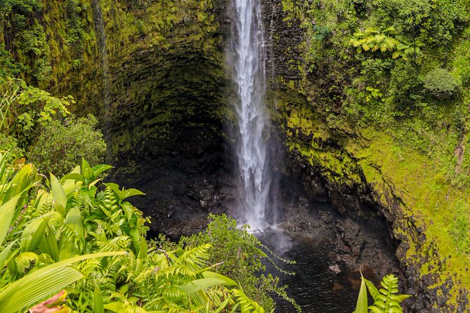 Cruise Ship Favorite Hilo Excursion Volcanoes and Akaka Falls - Is $299 a fair price?
