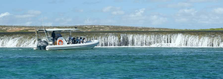 Cygnet Bay Unique Tidal Waterfall Reefs Scenic Cruise - The amphibious transfer and 12-seat sea safari