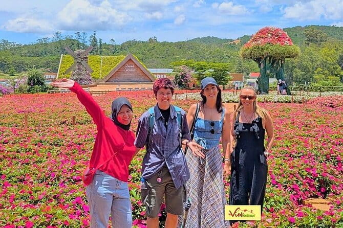 Da Lat: Half-Day Morning - Clay Tunnel, Crazy House, Datanla Fall - Clay Tunnel: Outdoor sculpture with a Da Lat story