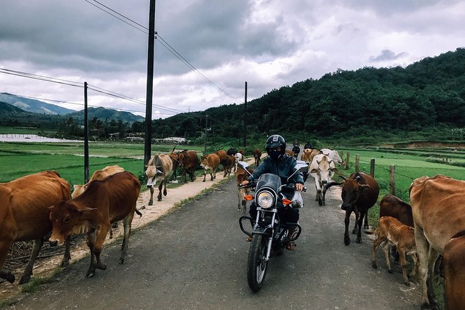 Da Lat's Countryside & Waterfalls Day Tour by Motorbike - Key things to know before you book