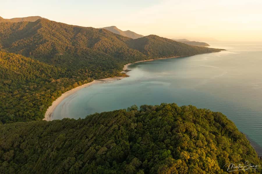 Daintree Rainforest: Magic Waterfall Walk with Lunch & Swim - Rainforest Tea House lunch with real choice