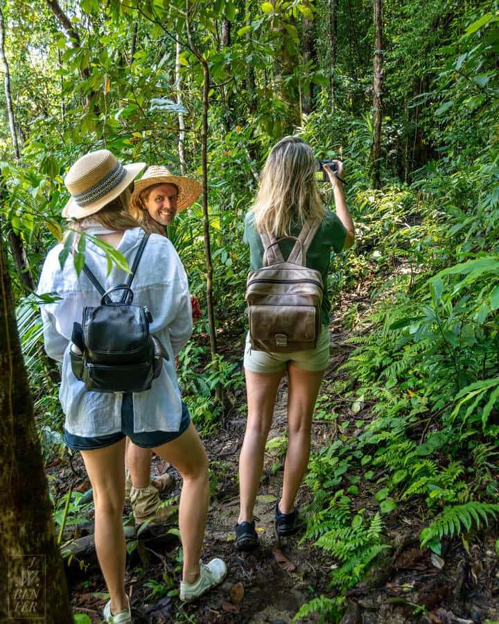 Daintree Rainforest: Waterfall Walk, Swim & Crocodile Cruise - Swimming beneath the Daintree waterfall