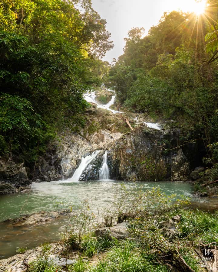 Daintree Rainforest: Waterfall Walk, Swim & Crocodile Cruise - How much value do you get for $173?
