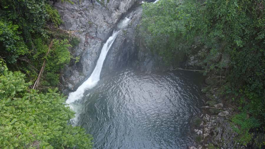 Daintree Rainforest: Waterfall Walk, Swim & Crocodile Cruise - Who should book this experience?