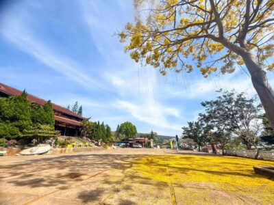 Dalat: 3 Waterfalls Day Tour — Datanla, Pongour & Elephant
