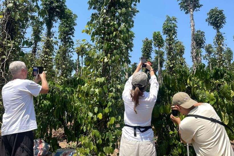 Dalat: 3 Waterfalls Day Tour — Datanla, Pongour & Elephant - Coffee, lunch, and the taste of the countryside