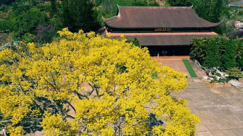 Dalat Countryside & Pongour Waterfall Tours (Small Group) - Why this $22 day trip works