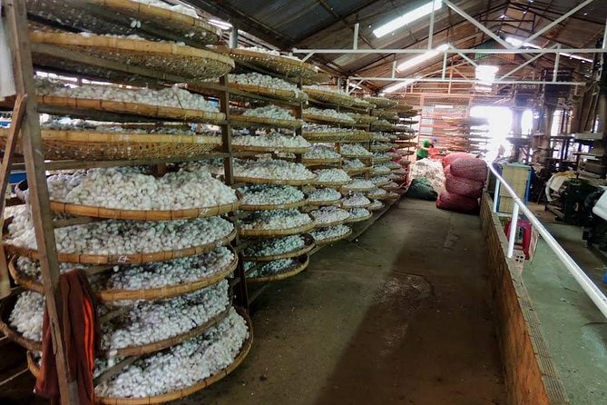 Dalat Countryside with Pongour & Elephant waterfalls tour - 1Day - Flowers, silk, and rice wine beyond the main four stops