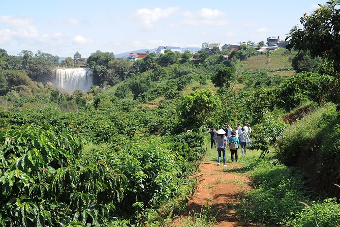 Dalat's countryside|Coffee Plantations Tour beyond Elephant falls - Why this coffee tour feels different from a café stop