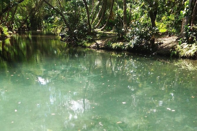 Damajagua The 7 waterfalls excursion - Amber Cove & Taino bay - Why Damajagua is a memorable port day