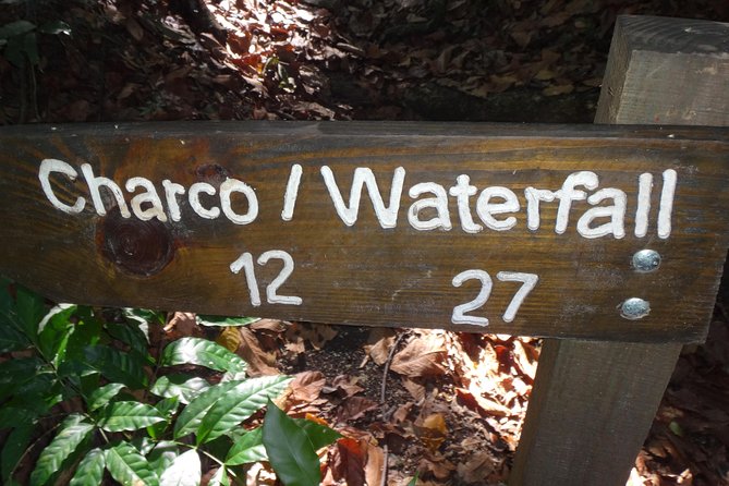 Damajagua Waterfalls for Cruise Ship Passengers - The uphill hike is the real test