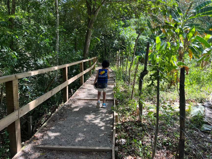 Damajagua Waterfalls Tour with Lunch - Safety, comfort, and what to leave behind