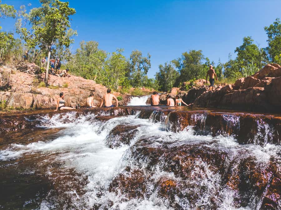 Darwin: Litchfield National Park Waterfalls & Wildlife Tour - Key points to know before you book