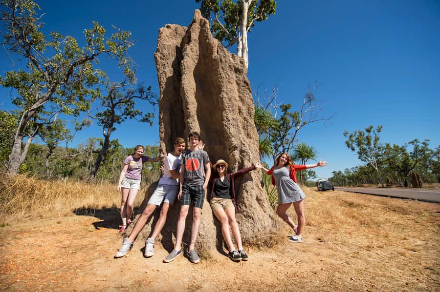 Darwin: Litchfield National Park Waterfalls & Wildlife Tour - Batchelor brings a short outback pause