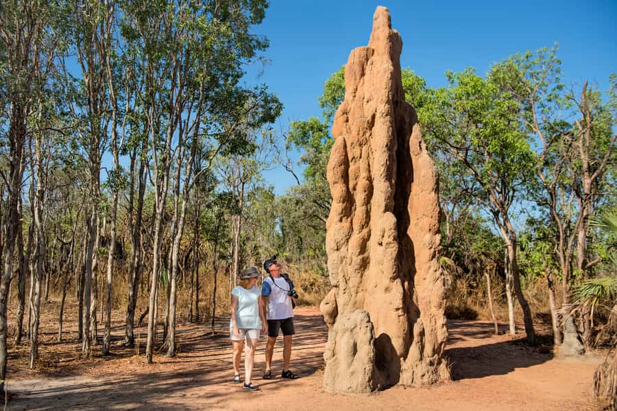 Darwin: Litchfield National Park Waterfalls & Wildlife Tour - Wet-season changes are part of the deal