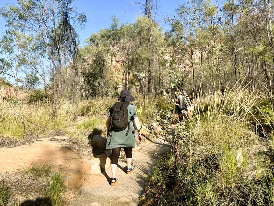 Darwin: Nitmiluk Edith Falls Tour & Katherine Gorge Cruise - The road from Darwin: Adelaide River, Katherine, and Pine Creek