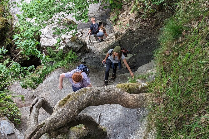 Day Hike: The Brecon Beacons Amazing Six Waterfalls - Why the guide adds value