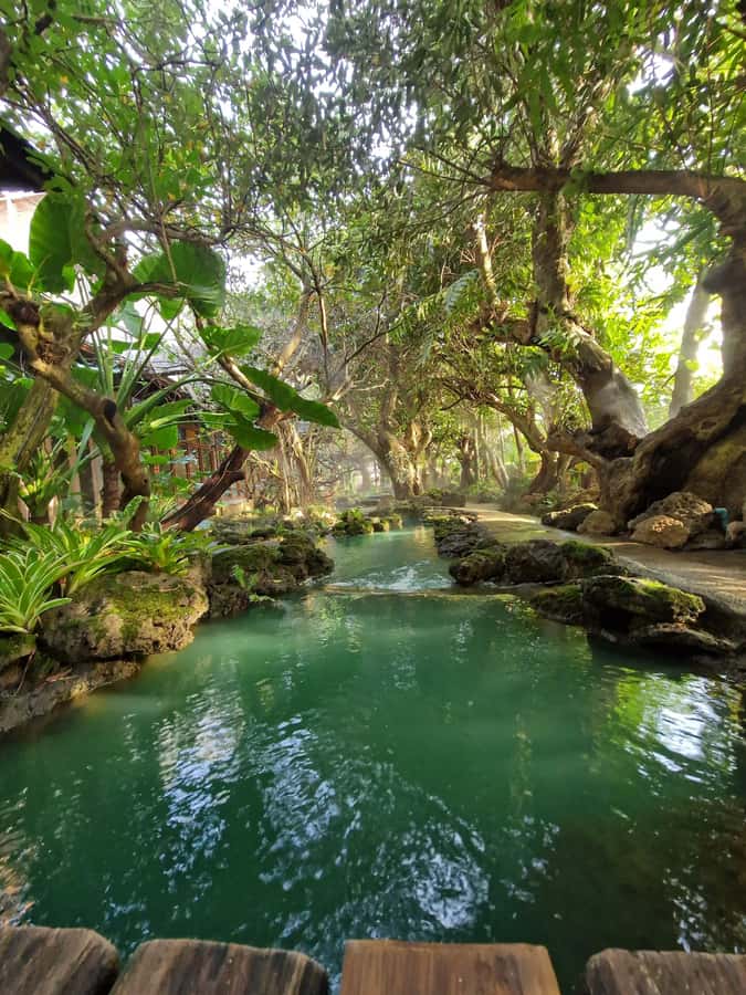 Day Tour in Chiang Mai I Waterfall I Dantewada I Doi Suthep - Key points to know before booking