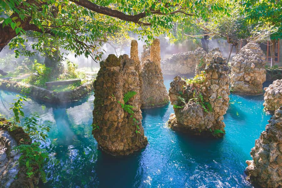 Day Tour in Chiang Mai I Waterfall I Dantewada I Doi Suthep - Who should book this day tour?