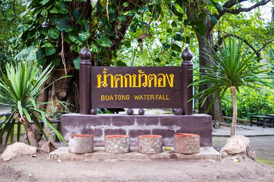 Day Tour in Chiang Mai I Waterfall I Dantewada I Doi Suthep - Timing, cancellation, and practical planning